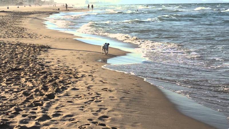 Apartamentos Gandia Playa De L'Ahuir 3000 Екстер'єр фото